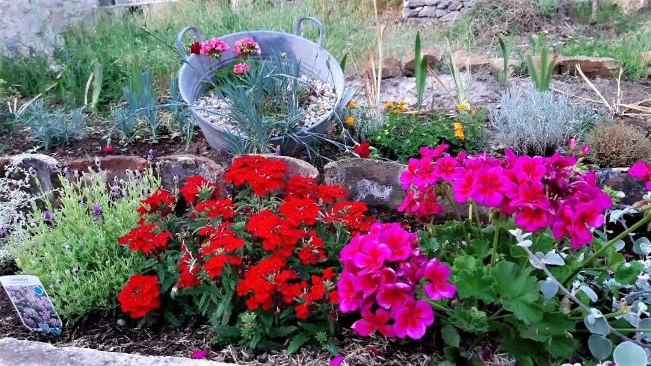Countryside Vacation House Vitez Babino Polje Zewnętrze zdjęcie